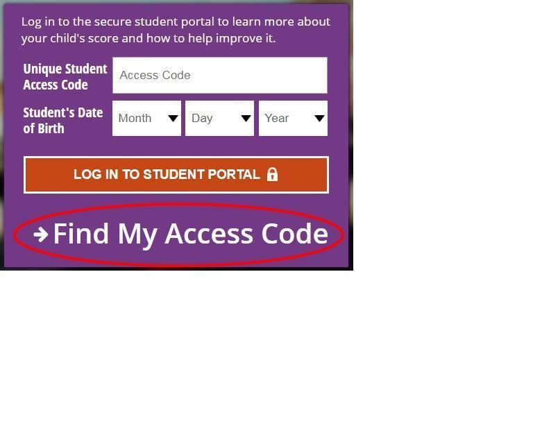 STAAR testing login